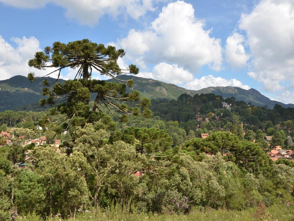 Green Village Hotel Monte Verde  Esterno foto